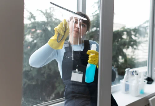Nettoyage de vitres intérieures et extérieures à Saint-Pierre-les-Étieux